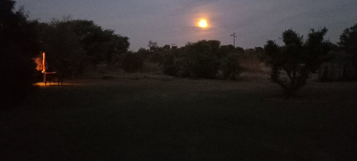 KameelAnd's tweet photo. The moon over #KameelZA tonight as the campers and guests enjoy the peace and quiet at #Kameelrustandvrede. 
#RouteR377 
#Northwest https://t.co/Dlus5AE1Mo