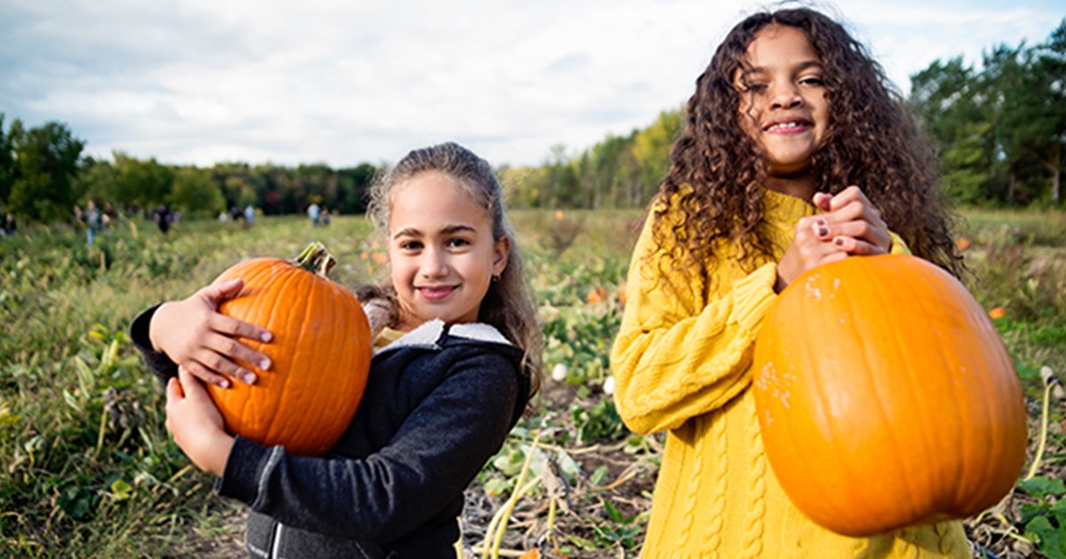 It’s pumpkin season. Which means it’s Illinois’ farmers time to shine. Because no other state produces as many #pumpkins as Illinois. Carving, decorating or eating? Show us what you’ve done with your pumpkins this year.