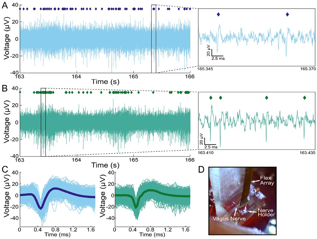 The tiny tips of brain electrodes have to be remarkably strong. A 2021 paper describes novel carbon fiber electrodes that are just a few microns thick (less than 10% the diameter of the average human hair) yet hold up remarkably well in the brains of cats.
ncbi.nlm.nih.gov/pmc/articles/P…
