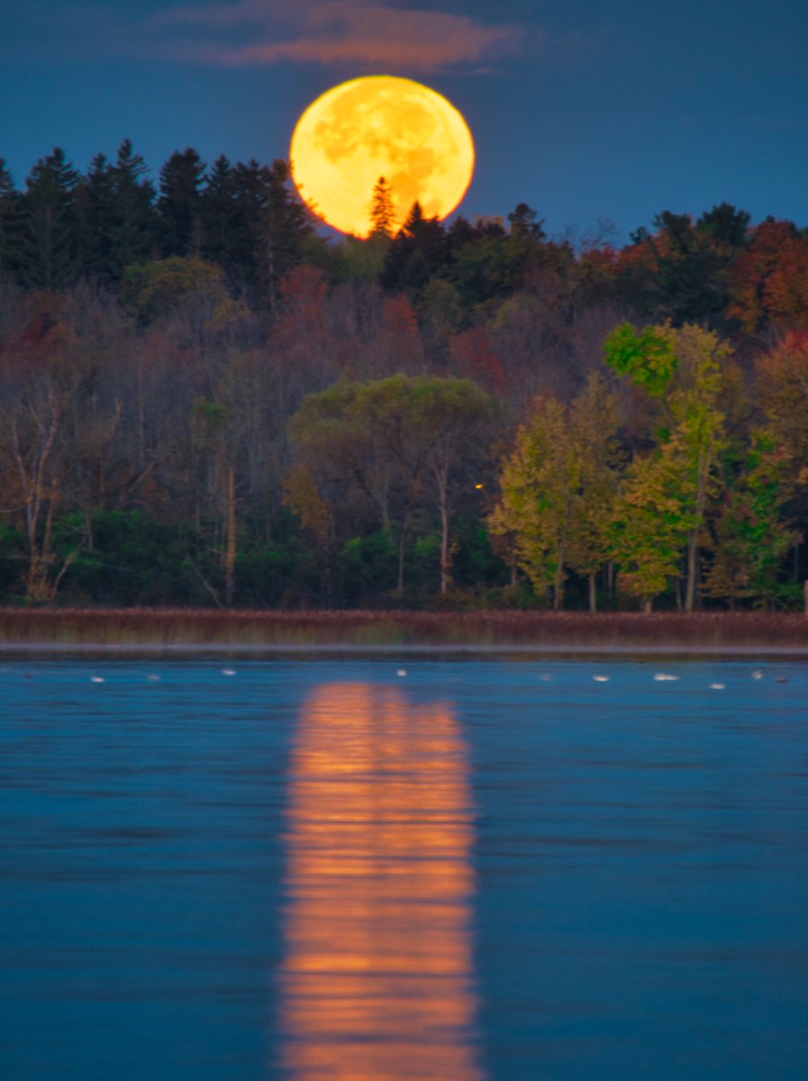 aerosatman's tweet photo. Exceptional MoonSet this morning! https://t.co/WnTL8Epd9L