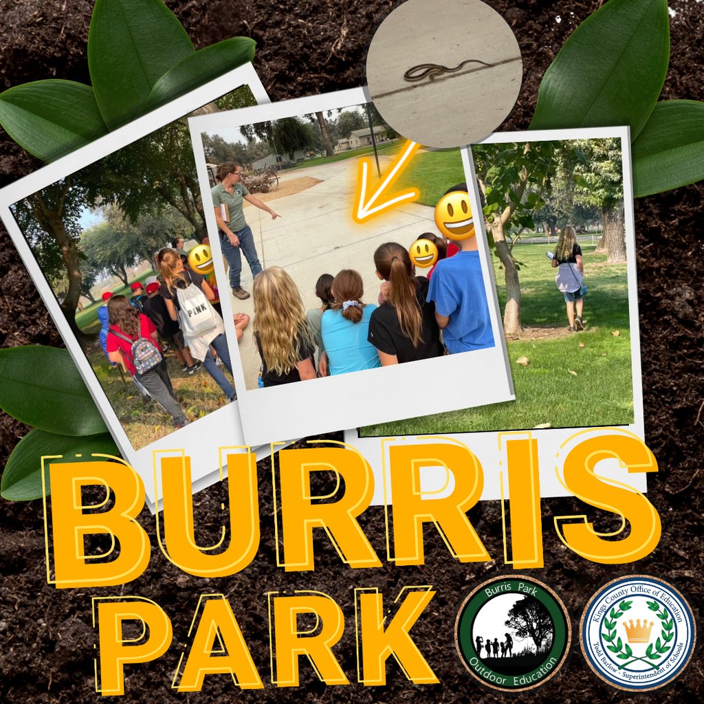 kings_coe's tweet photo. Students from Kings River-Hardwick received a surprise visit from a very special guest during their outdoor adventure field trip to Burris Park! Check out our website for more information on how to book a memorable trip for your class! 

Link to Site: https://t.co/pTgiIPp4af https://t.co/H5do2ZmF5A