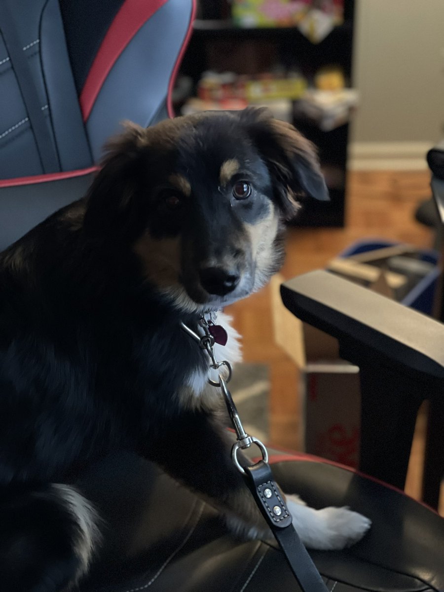 mattstratton's tweet image. My cohost for #CloudEngineeringSummit today