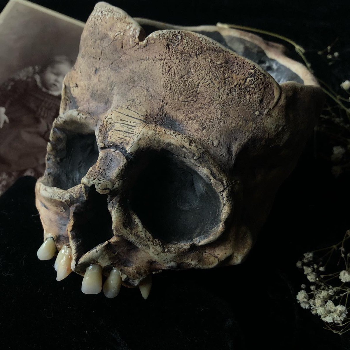 artistremedies's tweet photo. SKULL MUG NOW AVAILABLE 💀🖤

Free shipping in US

https://t.co/34G7YTh6Jb https://t.co/dJ6DAM6aod