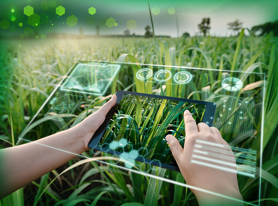 ASMEdotorg's tweet photo. Farmers using an IoT-based weather forecasting system can expect reduced water runoff, increased crop yields, and more: https://t.co/ylvsj5CHUP https://t.co/L8QzT4ioFo