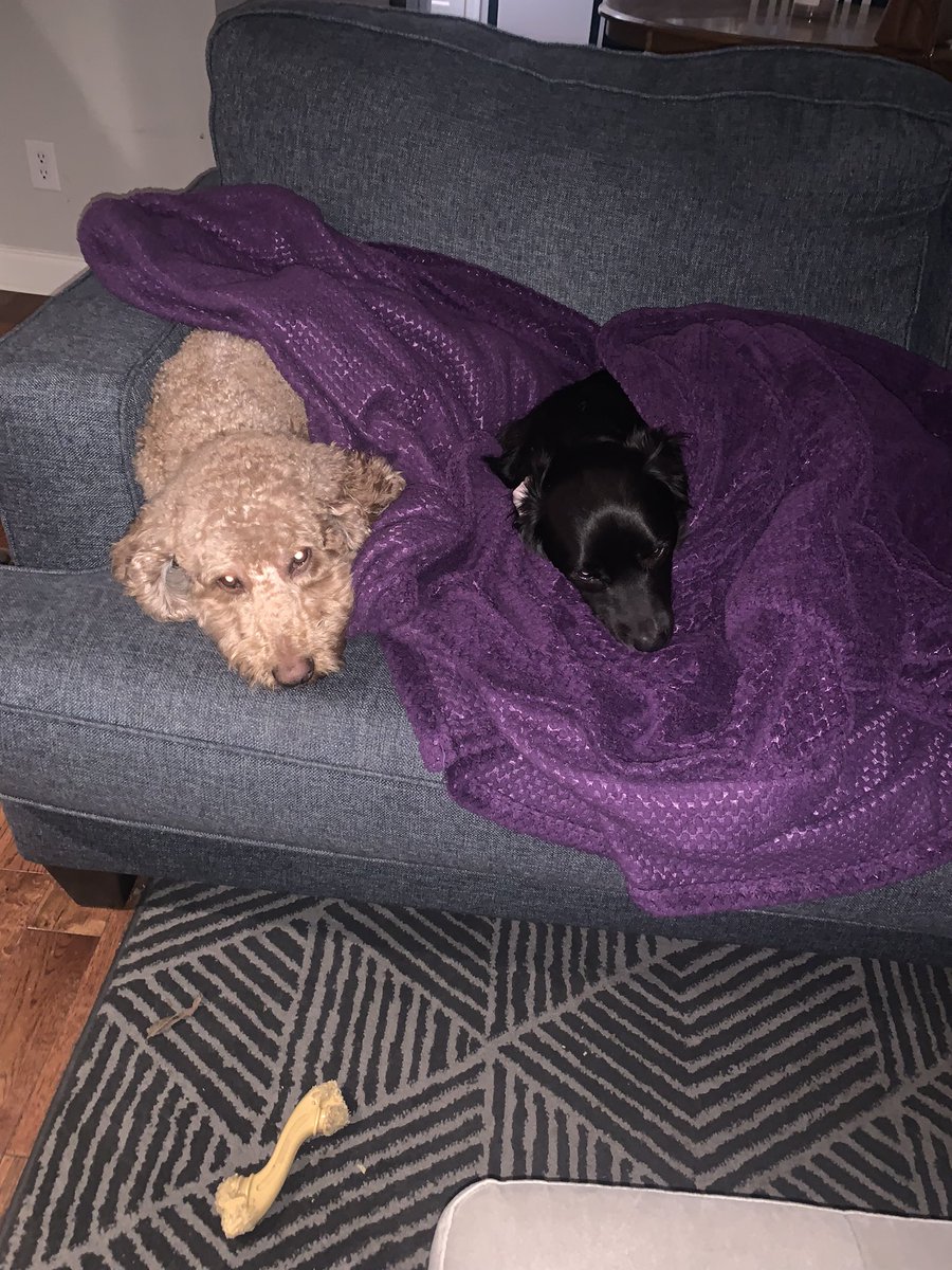 AshtonHester's tweet photo. @racheljholman Wow looks just like these 2 angels https://t.co/iqIJl3Em78