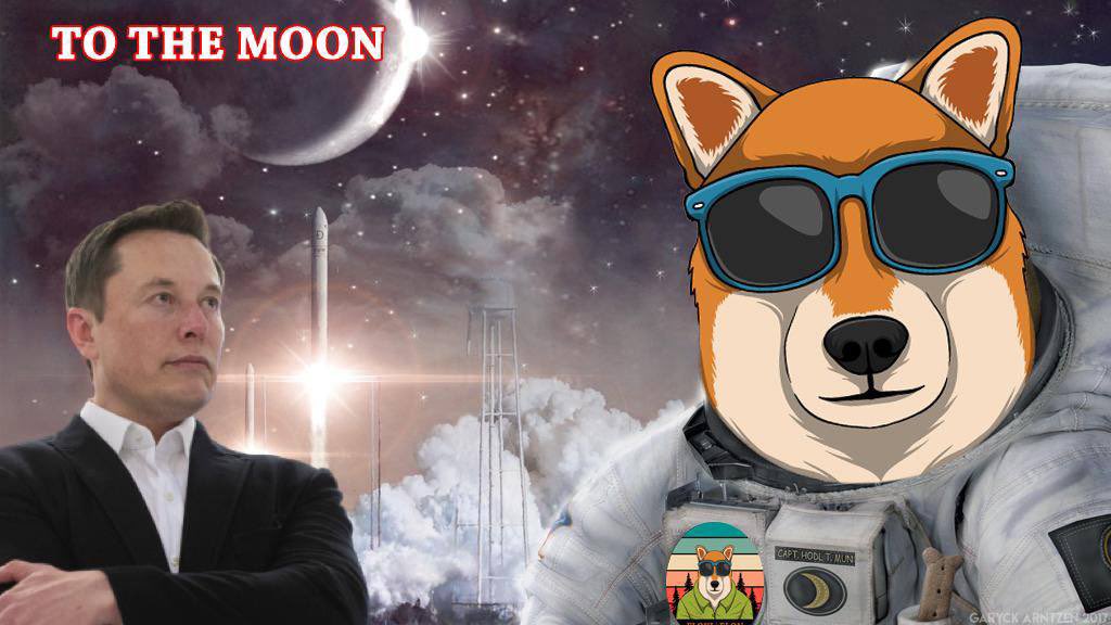 tothemoon122's tweet photo. @elonmusk @PPathole @thesheetztweetz 🚀🚀🚀 We want to go to Mars right now @elonmusk https://t.co/UI2CfV2oIH
