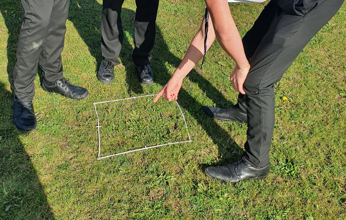 <a href="/ArmthorpeDN3/">Armthorpe Academy</a> Year 11 managed to find a variety of species, on the school field, in October! A fantastic result for their field studies required practical 👏 🌿#pride #ambition