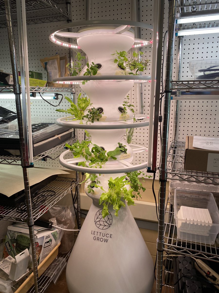 Phoenix Academy tweet media