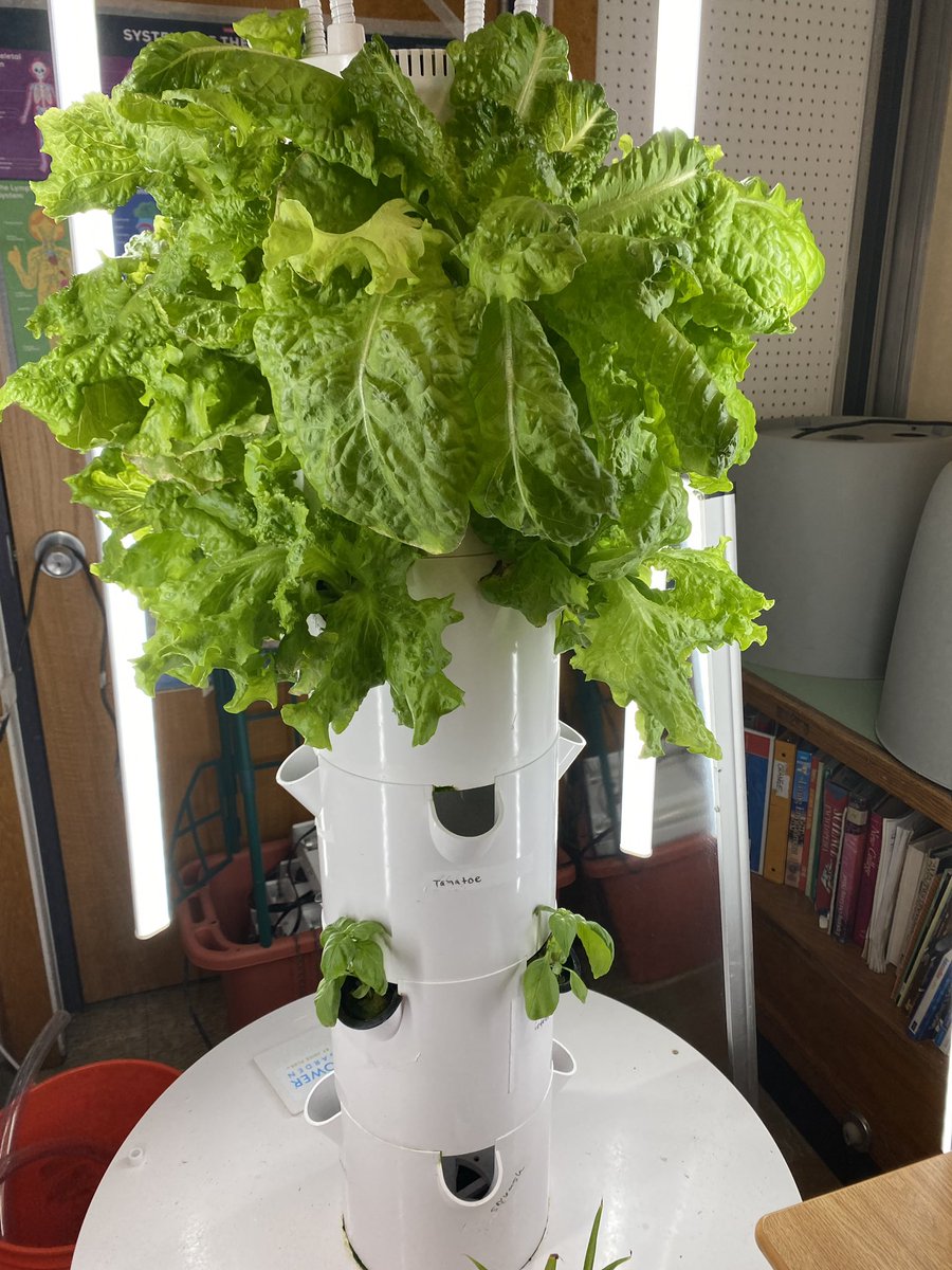 Phoenix Academy tweet media