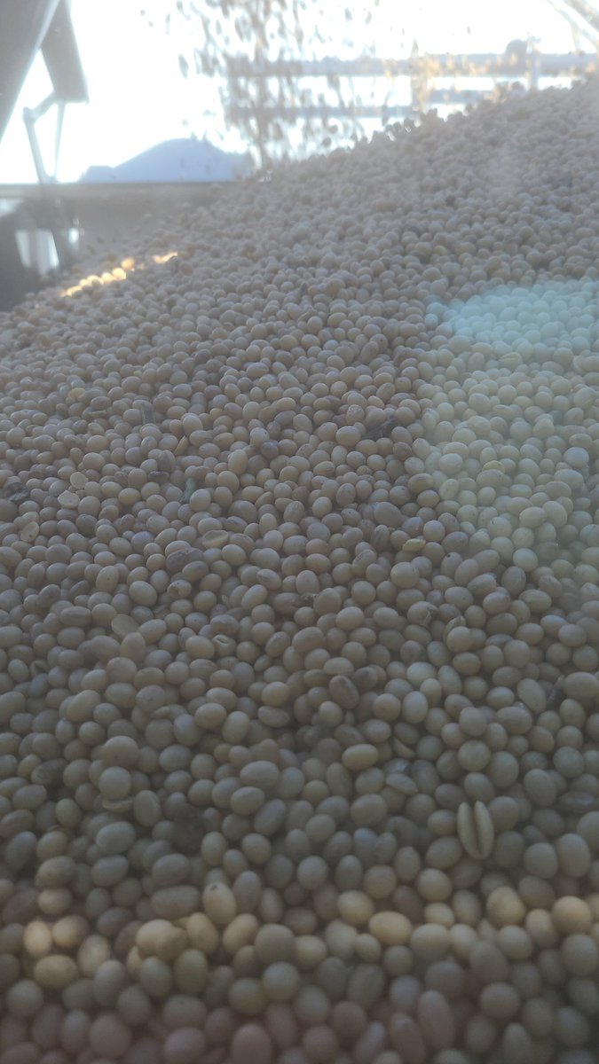 tcuning's tweet photo. Should I be charging a sur charge for combining this mess. #ipbeans https://t.co/YuocrtBX4D