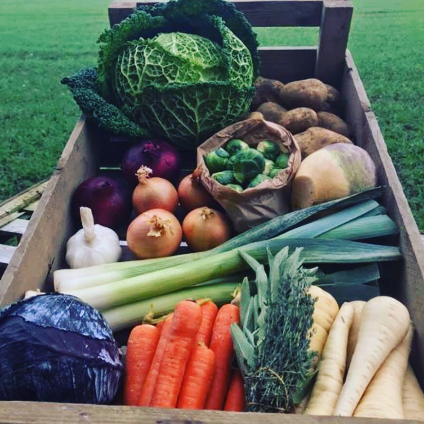 a_norfolk's tweet photo. Our fabulous Christmas vegetable boxes are now live on our website #Christmas #norfolkchristmas #norfolkvegetablebox #norfolkinabox #norfolkveg #shopnorfolk @a_norfolk https://t.co/HaTmFkHDX2