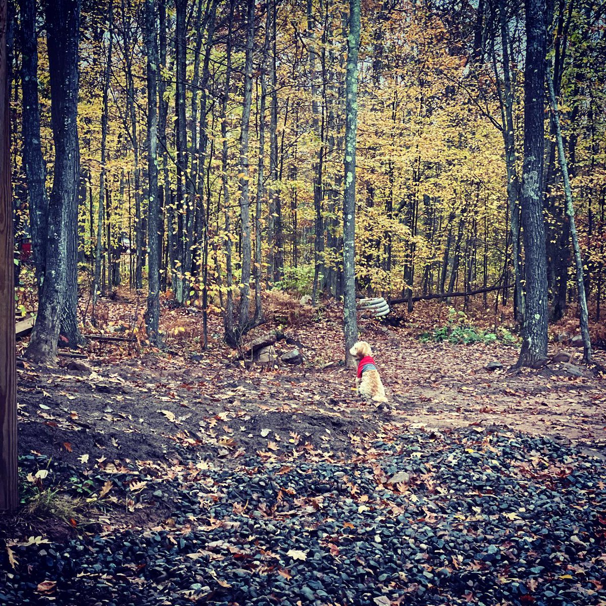 DahlConstructio's tweet photo. #fallcolors #winteriscoming We are hurrying against Mother Nature to get as many slabs in and work done before the #snowflies https://t.co/hCCQifm6Zi