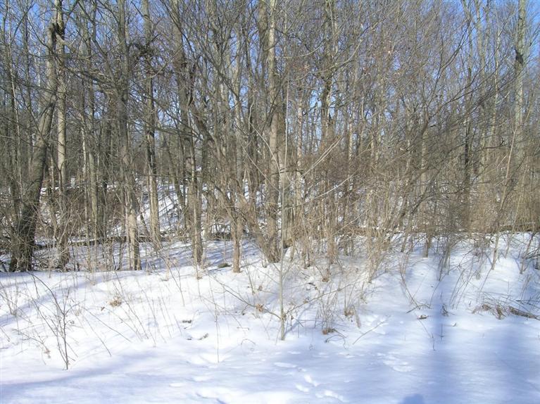 KWHomeTown's tweet photo. Check out our #listing in #Vandalia #OH  #realestate #realtor https://t.co/AxZglbOg10 https://t.co/227g0WmSvP