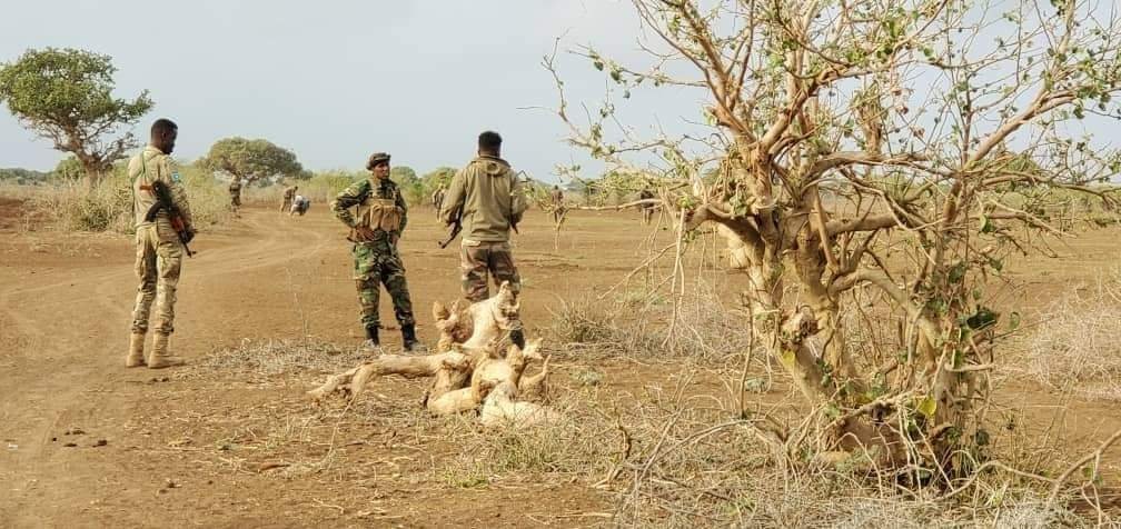 RadioSna's tweet photo. Ciidanka Kumaandooska #Danab, ayaa howlgal qorsheysan ku bur buriyey xaruntii ugu weyneyd ee Argagixisada #AlShabaab ay ku la haayeen deegaanka #Baqdaad ee gobolka shabeellaha #dhexe.
https://t.co/u1suYJaGzc https://t.co/XDf0gc5pmN