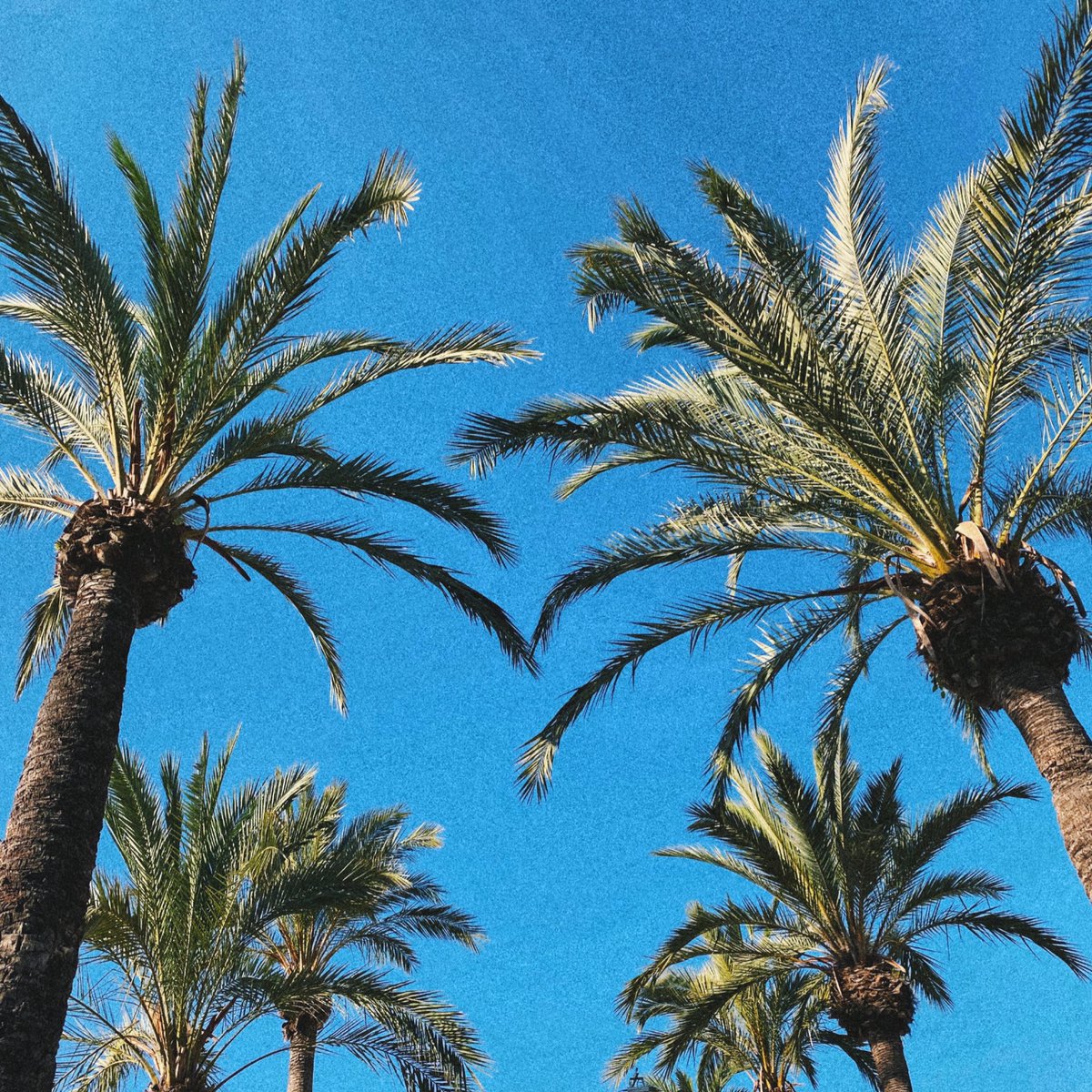 _Tiaindiana's tweet photo. Island gal 🥥🍍 https://t.co/U0Sv4T0X1X