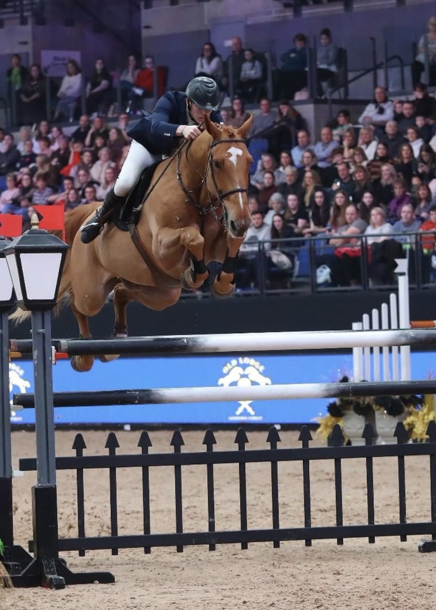 LiverpoolInt's tweet image. There have been so many memorable moments at the show over the years. Which is your favourite ever moment or the thing you are looking forward to the most this year? Let us know in the comments 🐎
#VoltaireDesignLIHS