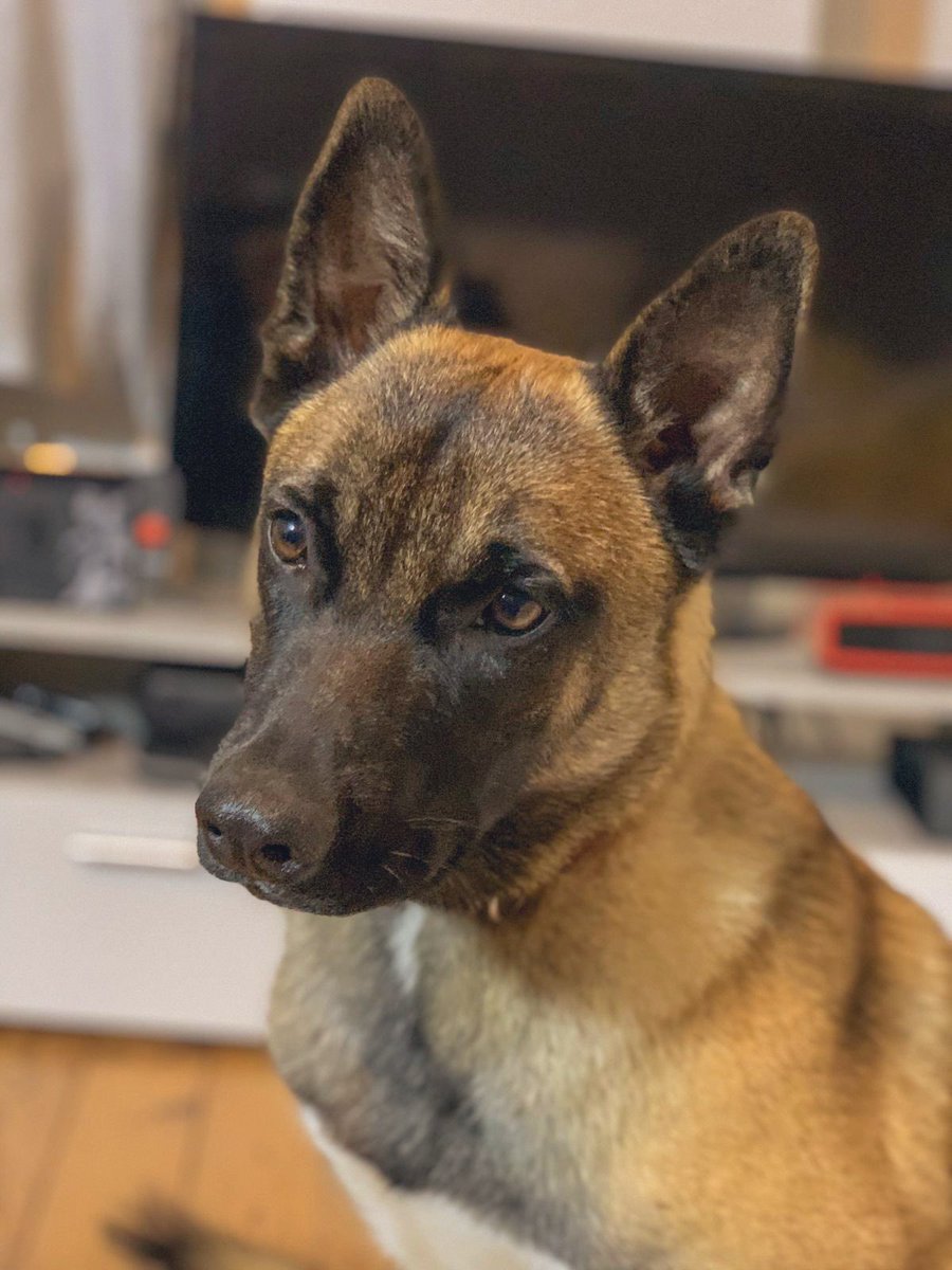 PEIIIX's tweet image. bon clebard