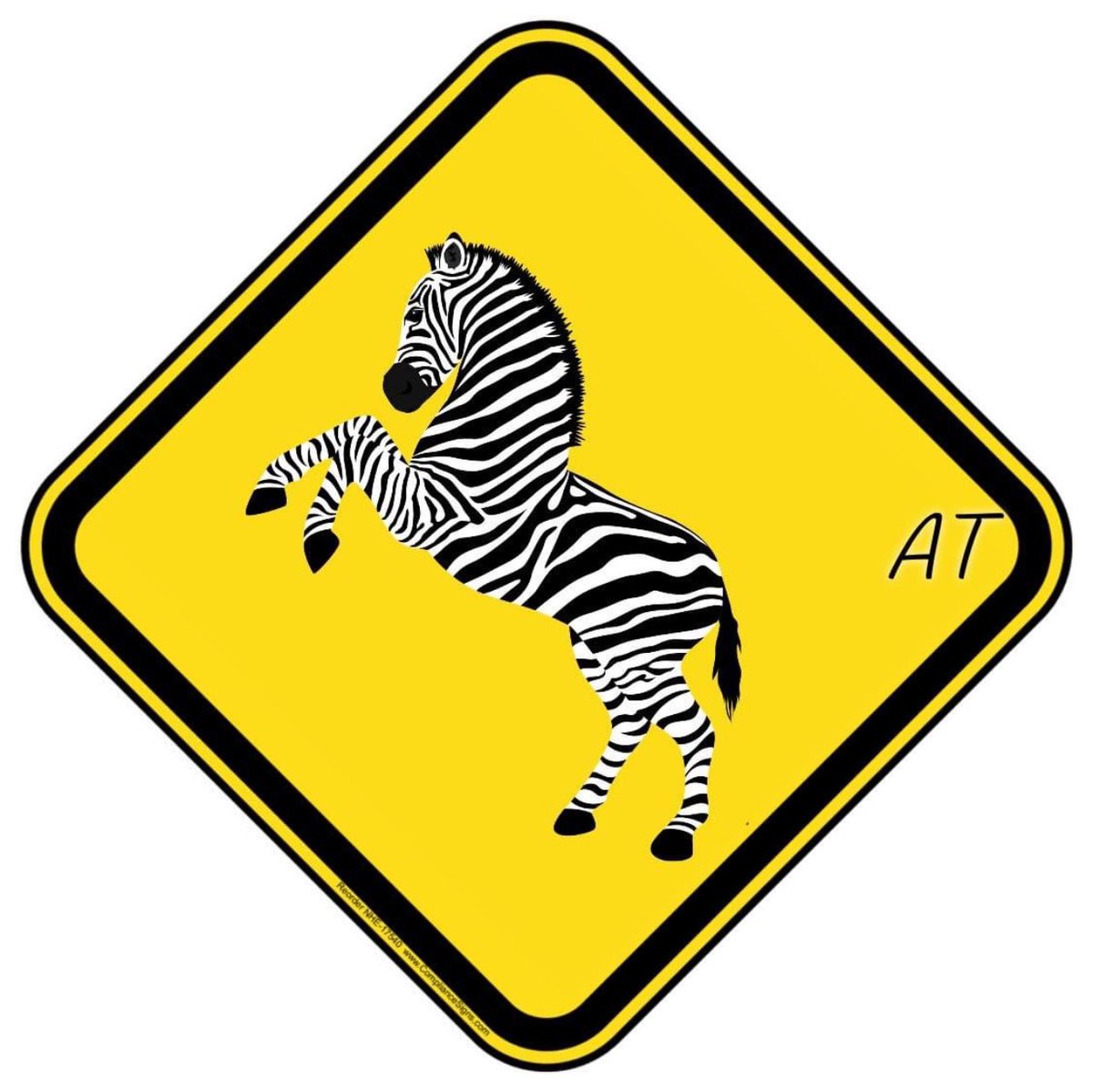 AnthonyTilghman's tweet photo. Jerry Holly, the owner of the escaped PG Zebraโs has been charged with three counts of animal cruelty in Prince Georgeโs County District Court. ๐ฆ #PGZebras #DeerBra https://t.co/QCguQN1ObE