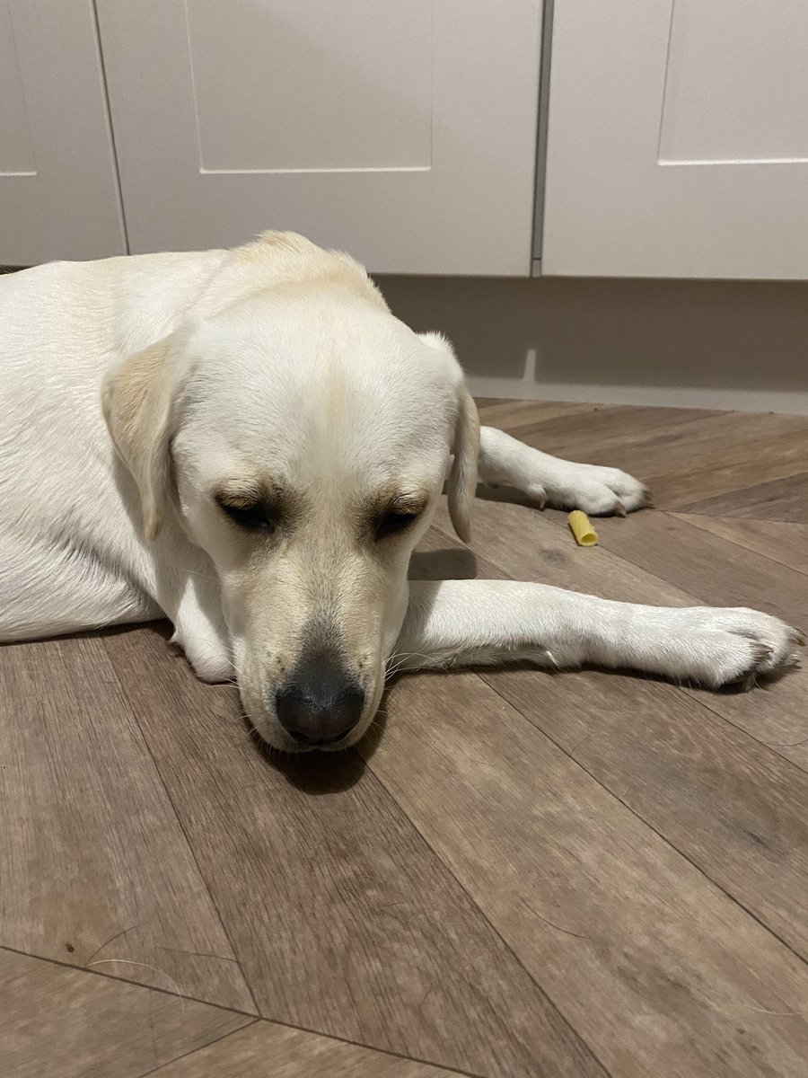 This piece of pasta might be too hot to eat right now. But I will protect it. Until it’s ready.