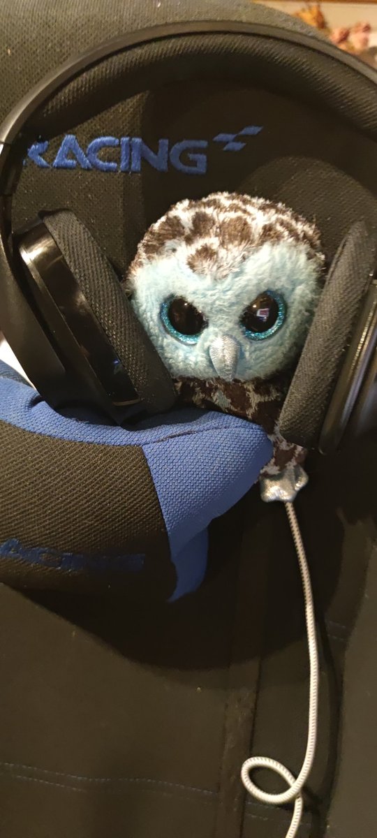 Miraruxan's tweet photo. Schuhu sitzt schon in den Startlöchern, bereit mit Kopfhörern und im Gamingstuhl.

Wir spielen heute um 20 Uhr wieder #newworldmmo

https://t.co/ky920fbZ3c 

#owl #eule #schuhu #stream #twitch #game #owlsome #german #newworld #aaru #heiler #marodeur https://t.co/uYwEloyXme