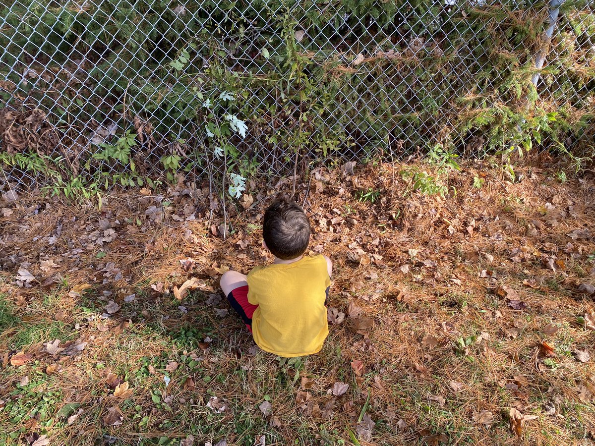 R Creasor tweet media