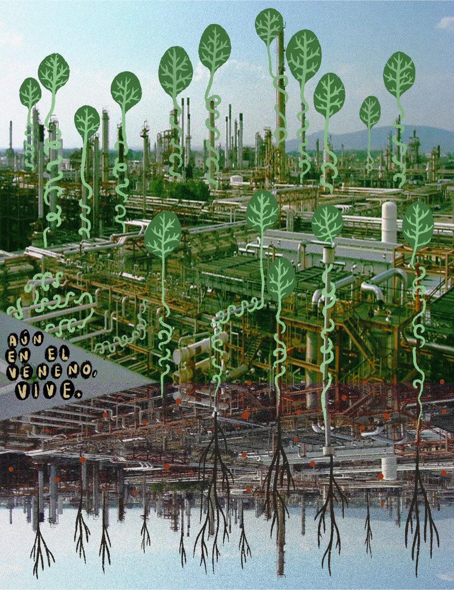 greenpeacemx's tweet photo. Ante los proyectos de muerte que contaminan el aire, envenenan el agua y nos roban nuestro futuro, ilustradores de todo el país imaginaron cómo serían los territorios si en lugar de ver petróleo, viéramos manglares, y en lugar de ver desechos industriales, viéramos ríos vivos. https://t.co/8wHjing9jr