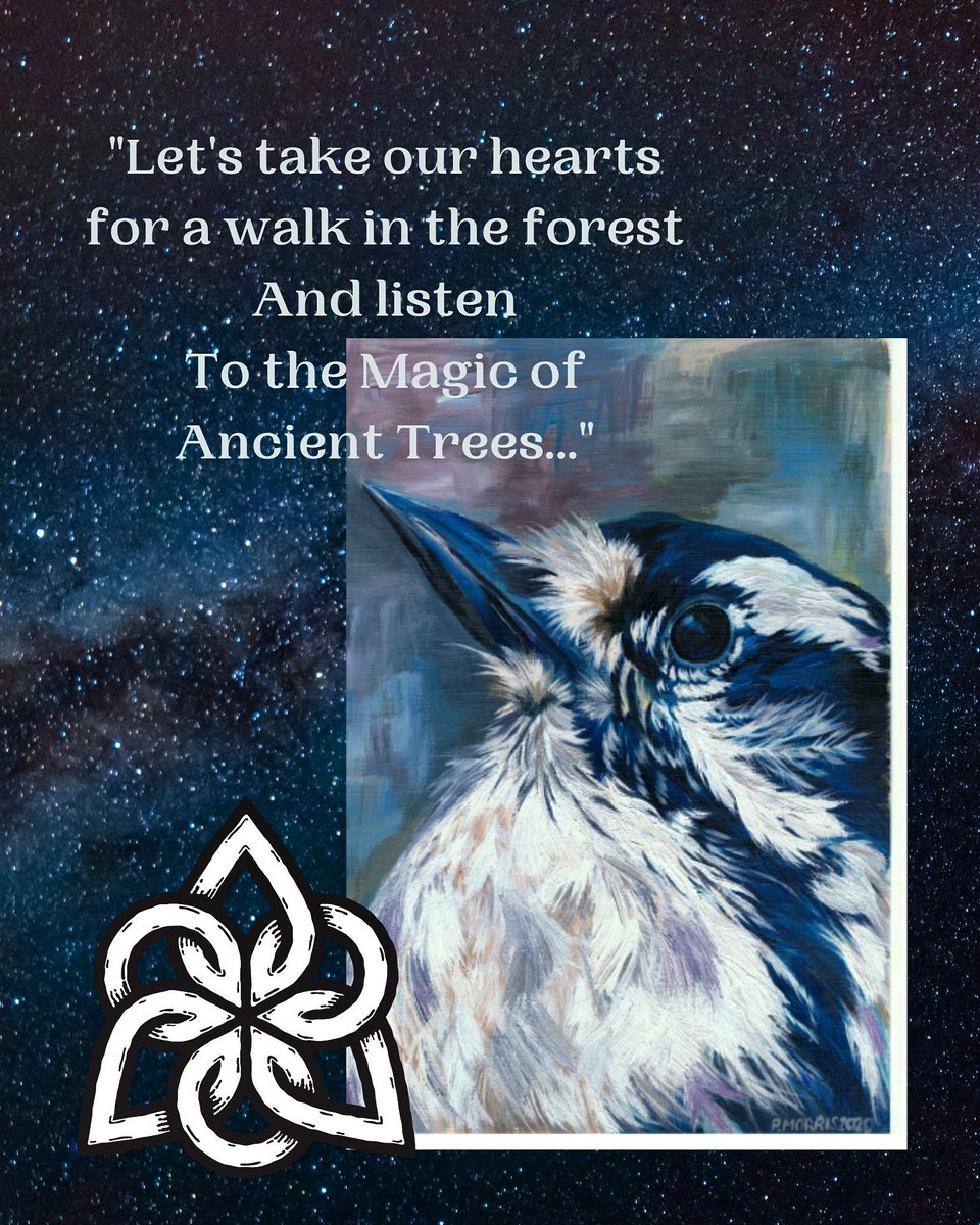 Good evening #htlmphour. I hope you're keeping well and have had a good day. These are a few ideas I've had using my original artworks. I hope to have prints, cards and plaques available soon.♥️#htlmp #art #WildlifeWednesday