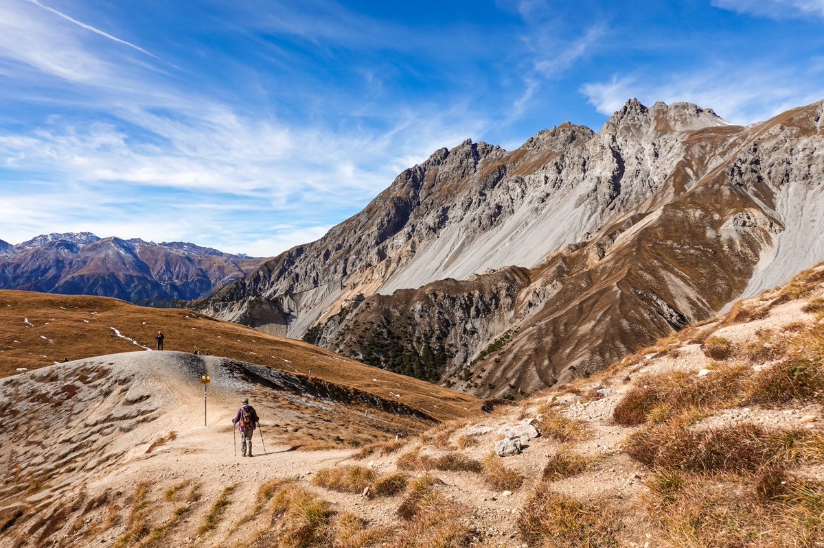 carnetdescapade's tweet photo. 🇨🇭Paysages de montagnes 🏔 dans le Parc National #Suisse: je suis amoureuse 🥰 #Grisons #Graubünden #engadinized https://t.co/SBi7s1gNxB