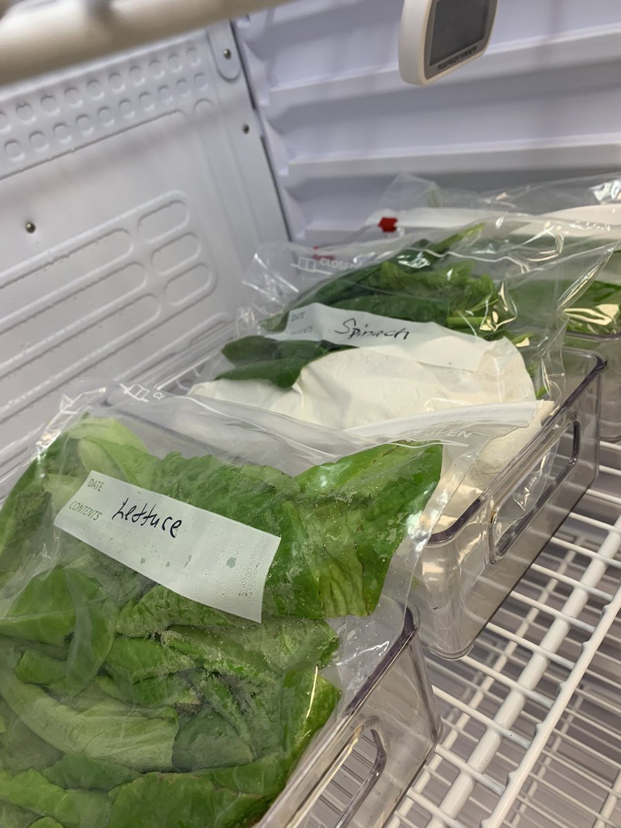 shyratedesco71's tweet photo. Sweet potatoes and a variety of fresh greens and herbs this week in the Food for Thought pantry at Ivy Tech Lawrenceburg.  Love the FoodLink cards from the Purdue Extension…great resource for recipes and nutritional info! https://t.co/VBGNy84FcP