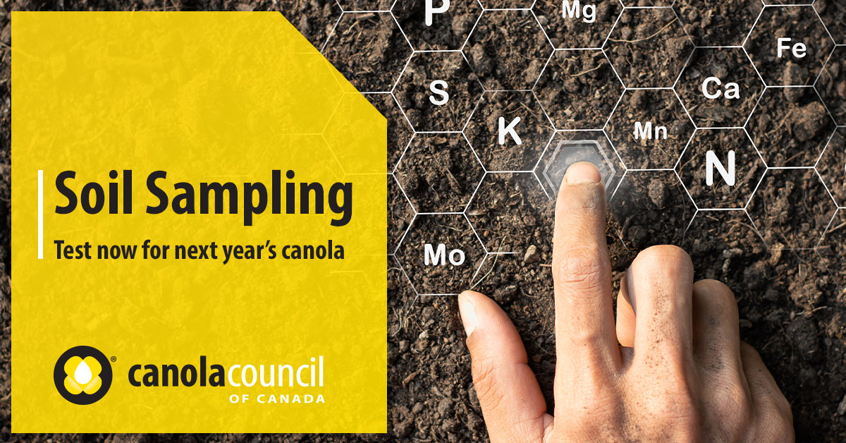 Soil testing is an easy practice that can go a long way when nutrient planning. Visit our website for more information on how this step can help with nutrient decisions and implementing #4RNutrientStewardship practices: canolacouncil.org/4R