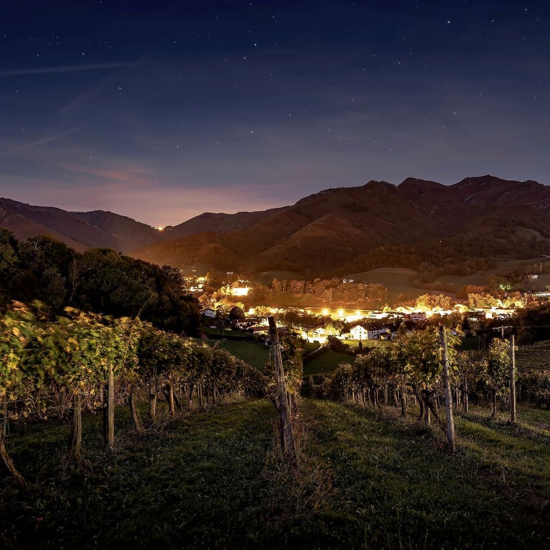 cave_irouleguy's tweet photo. Rare cliché des vignes sous les étoiles, avec un exceptionnel point de vue sur les lumières de Baïgorry ✨

📸 @thierry_gt_64

#irouleguy #vignes #paysage
https://t.co/A7P37pn4Jy https://t.co/pMDwPi0XnP
