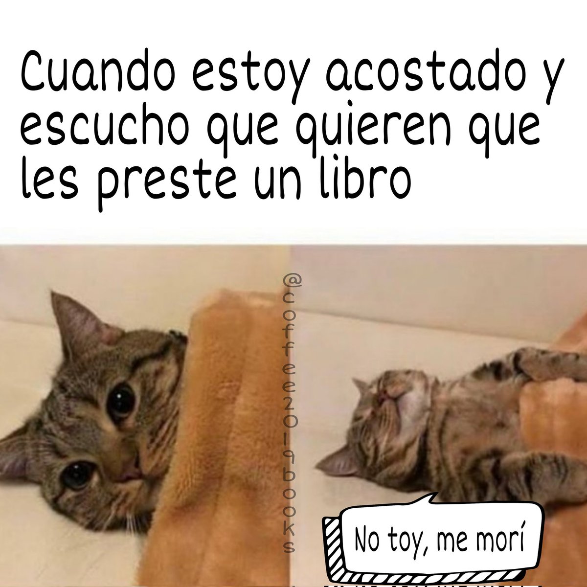 CoffeeBooks19's tweet photo. Miércoles y es ombligo de la semana, y lo amenizamos con un poco de humor.
⠀
Ustedes son de los que prestan los libros o no?
⠀
Los leo en comentarios
⠀
Loty ✨
⠀
#CoffeeBooks #memelector #memeliterario #librosenespañol #librosymaslibros #memesdelibros #cosadelibros #miercoles https://t.co/FxH8lq7vAE