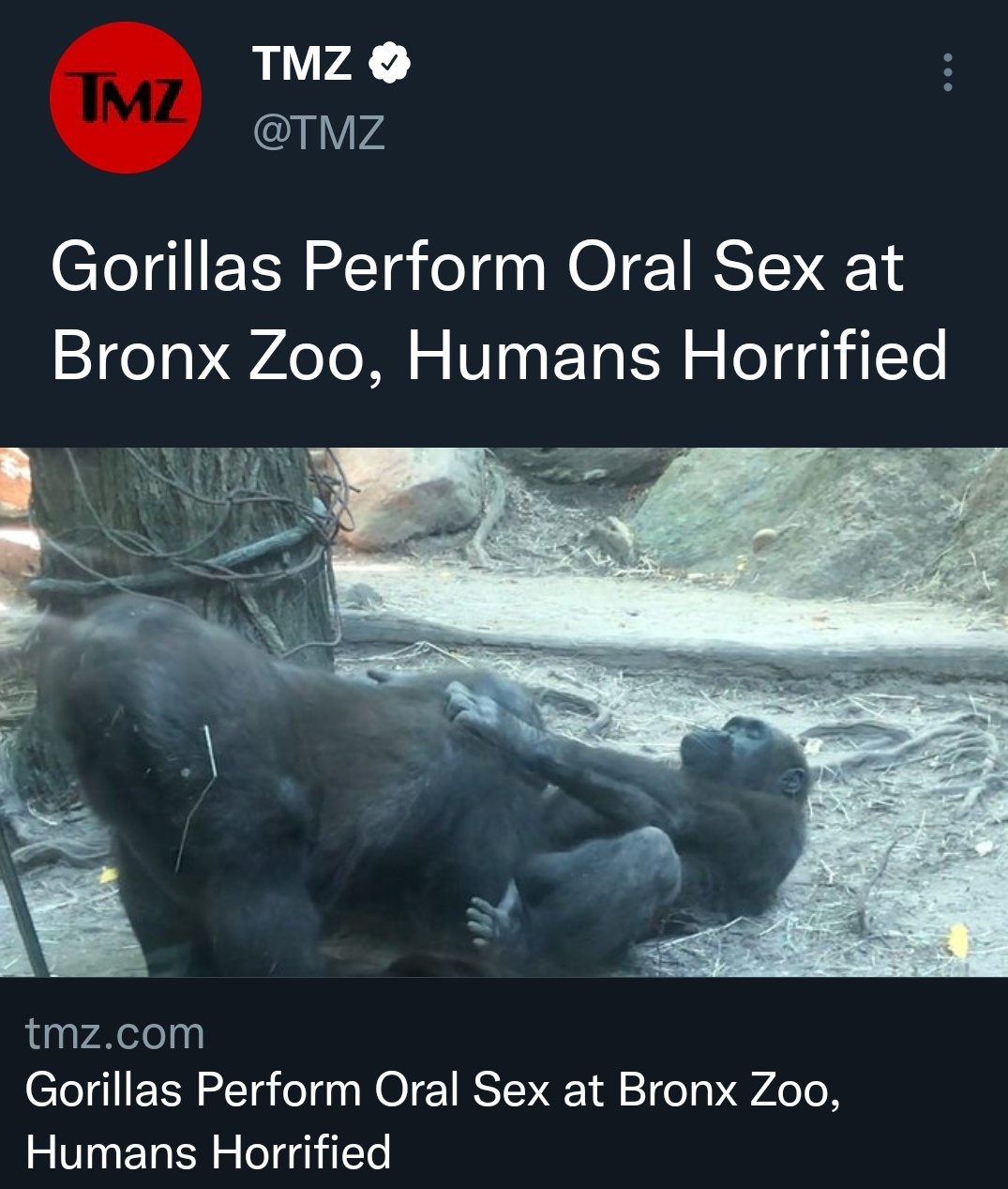 Gorilla Tweets NSFW Photo of Receiving Oral