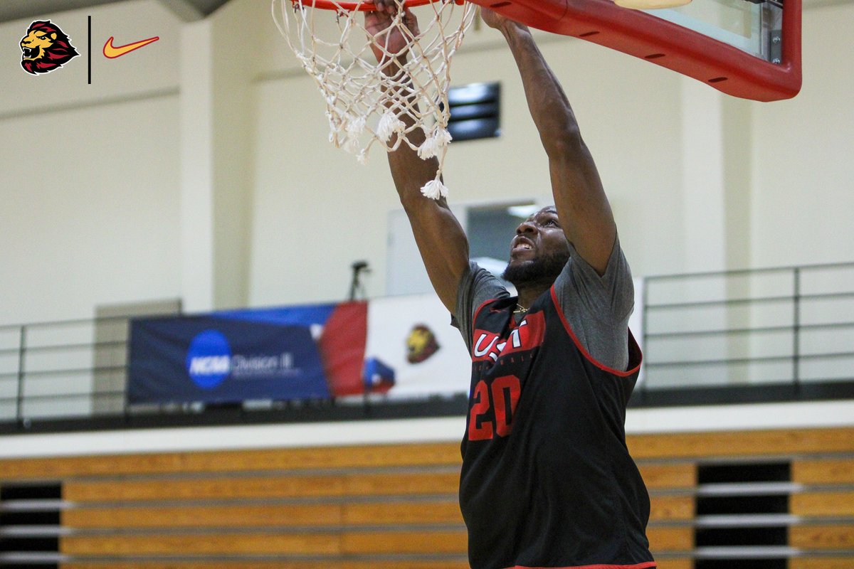 USTAthletics's tweet photo. BASKETBALL IS BACK‼️🏀

#CeltCulture https://t.co/nEdIu2nCUN
