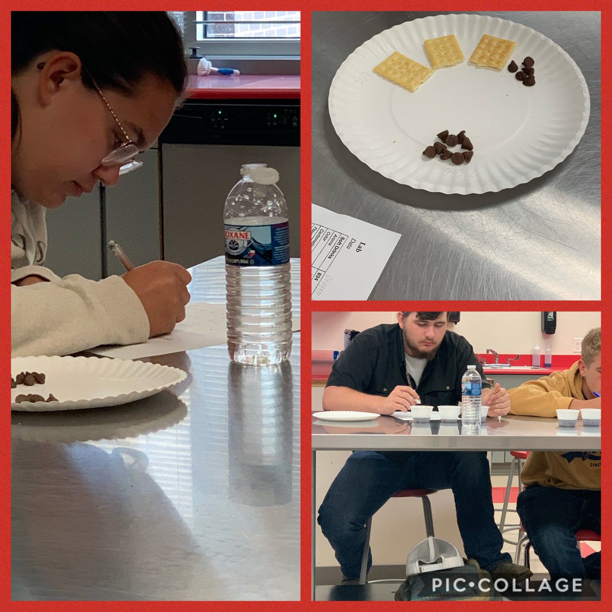 SHSHospTour's tweet photo. Food Science students participated in a taste label trying to identified brands based into taste alone. @SplendoraISD @SplendoraCTE @SplendoraHigh https://t.co/PLQM50qsks
