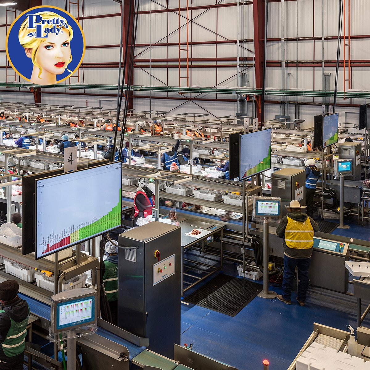 PrettyLadyGrape's tweet photo. A peek into our packing facility! π
#PrettyLadyGrapes #PackingFacility #SneakPeek #CaliforniaGrown #CaliforniaGrapes #GrapeOverload https://t.co/7EYsAhhIUA