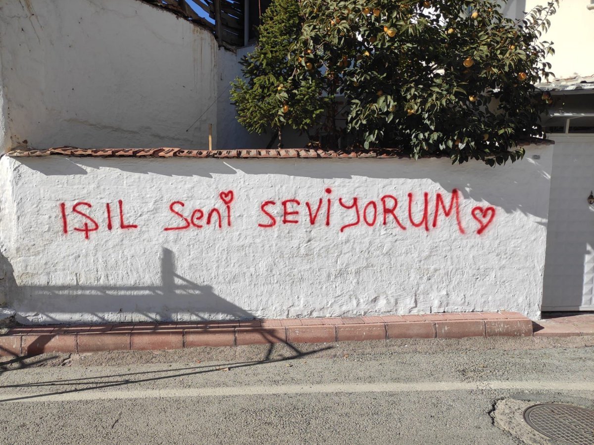 yesilyurtbeltr's tweet photo. Seviyorsan git konuş bizce ☺️

Çünkü biz duvardan siliyoruz.🤗 https://t.co/zSVn86JKet