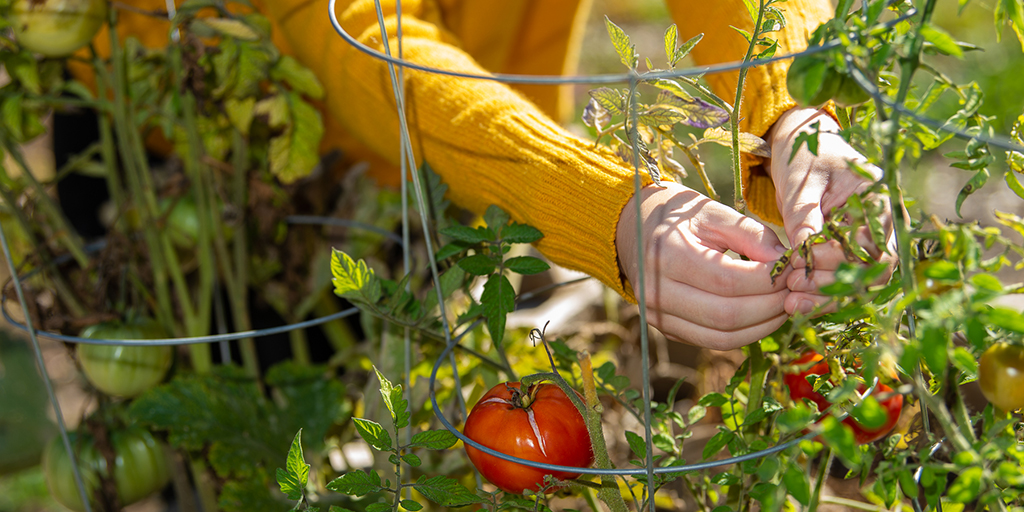 UNB Fredericton tweet media