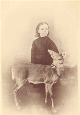 KalamazooMuseum's tweet photo. Everyone has a pet deer, right? #muspets https://t.co/Fnxa8fT7j4