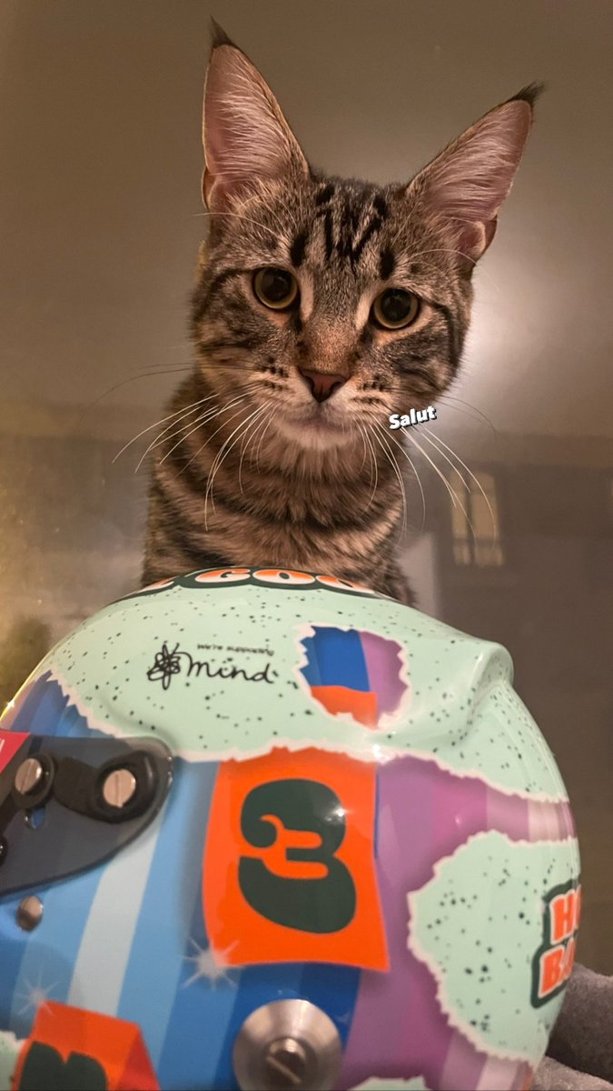 _AlexPerrin's tweet image. 