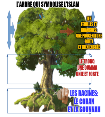KneRokhaya's tweet image. L'arbre qui symbolise l'Islam: De solides racines, un tronc gigantesque et forte, des branches fraiches, vivantes, une ombre rafraissante et le tout produisant des fruits dont la saveur mène au Paradis inshaAllah.  #Ummah; #Islampaix; #islameducation.