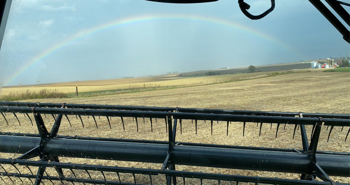 Rea Seed (@reaseedllc) on Twitter photo 