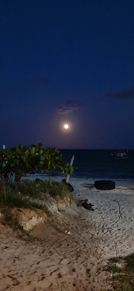 Sah_El's tweet image. 