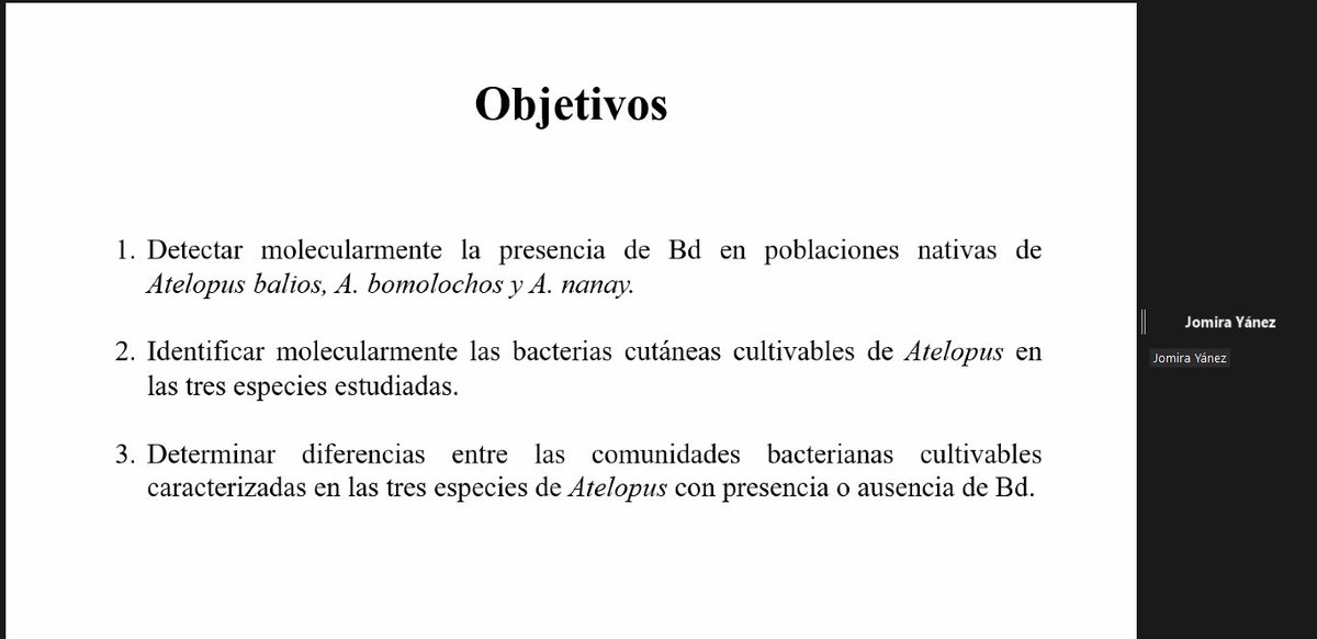 SayaroCGG's tweet photo. #Ciben2021 | En el Simposio Biorrecursos: Prospección y Aprovechamiento. 
Sesión 1: Biotecnología Aplicada en Alimentos, Agricultura Y Ambiente. 
#Ikiam7AñosDeInvestigación 
Jomira Yánez nos presenta su investigación sobre el hongo que causa la pandemia de anfibios https://t.co/kyQ6xDOu7T