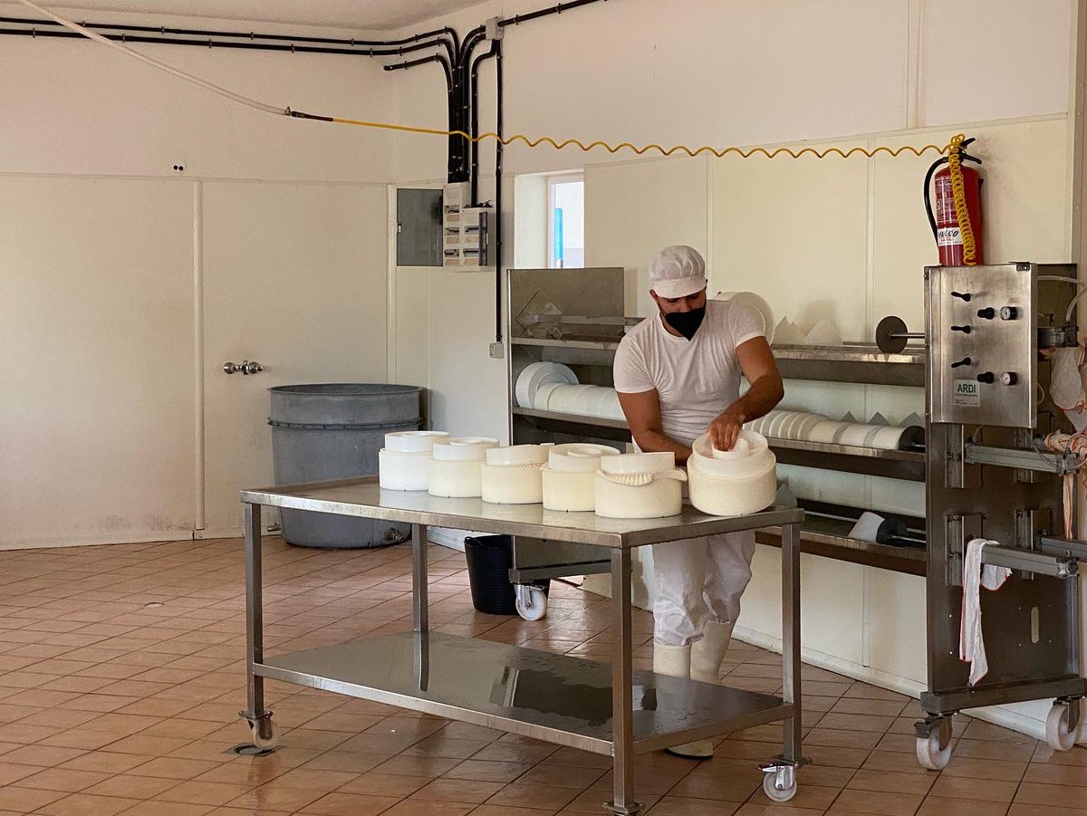 AlfonsoJLT's tweet photo. 🔝 Gran trabajo el que lleva a cabo el joven amigo Rayco Ramos Rodriguez al frente de la Quesería CaprariuƧ en el municipio de Tuineje (Fuerteventura). 

🧀 #Caprarius es un #queso artesano majorero con DOP que se elabora exclusivamente con leche cruda de #cabra de raza majorera. https://t.co/Px9lIwgtKO