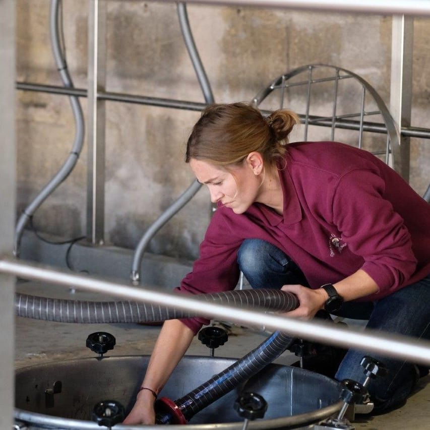 Nos vendanges 2021 sont terminées , à l'issue d'une longue période de très grand beau temps sec. 

Les cabernets (deux tiers du vignoble rouge de la Solitude), aiment ces longues périodes de maturation prolongée et parfaitement accomplie...