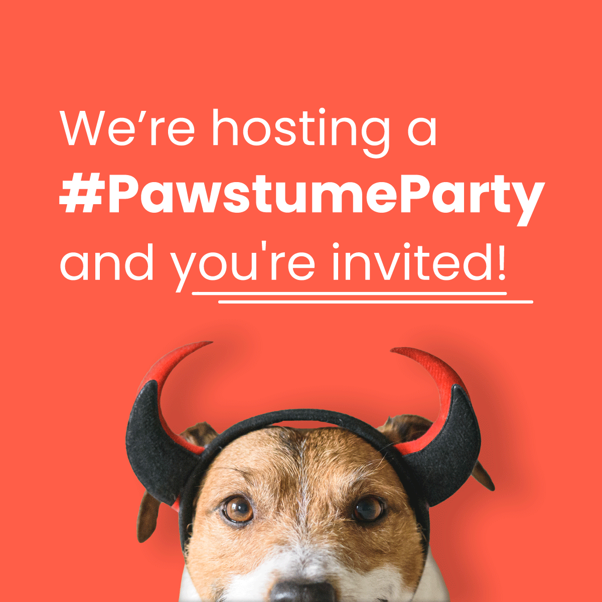 We’re hosting a #PawstumeParty and you're invited! Go ahead and show off the adorable critter you're taking trick-or-treating this year. Tag us in a picture of your dressed up pet using the hashtag, and we might post it! 🐾