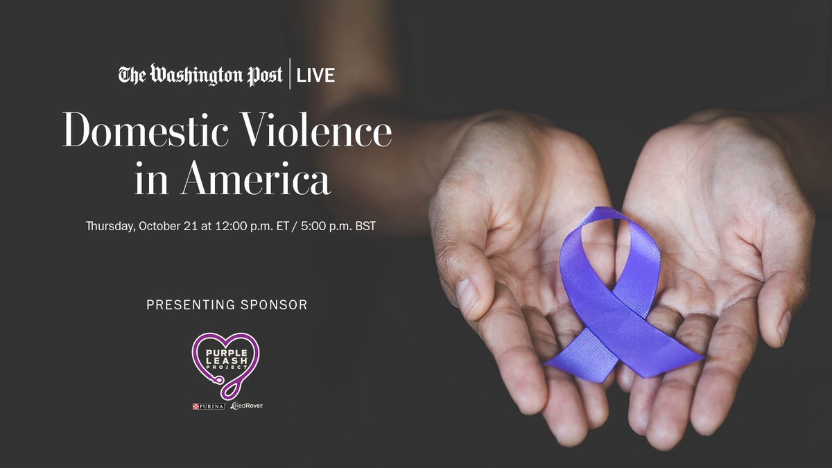 Domestic Violence in America