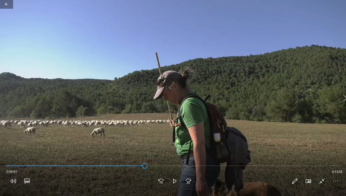 ImmaterialPenedès tweet media