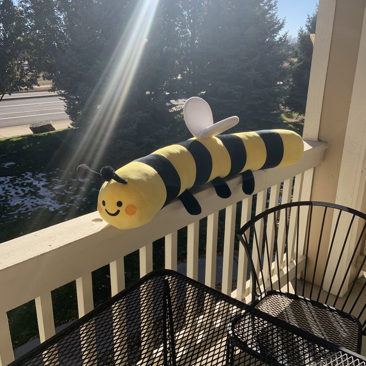liliuhms's tweet photo. long bee preorders next thursday but you didn’t hear it from me… https://t.co/eu0mHpkSN6